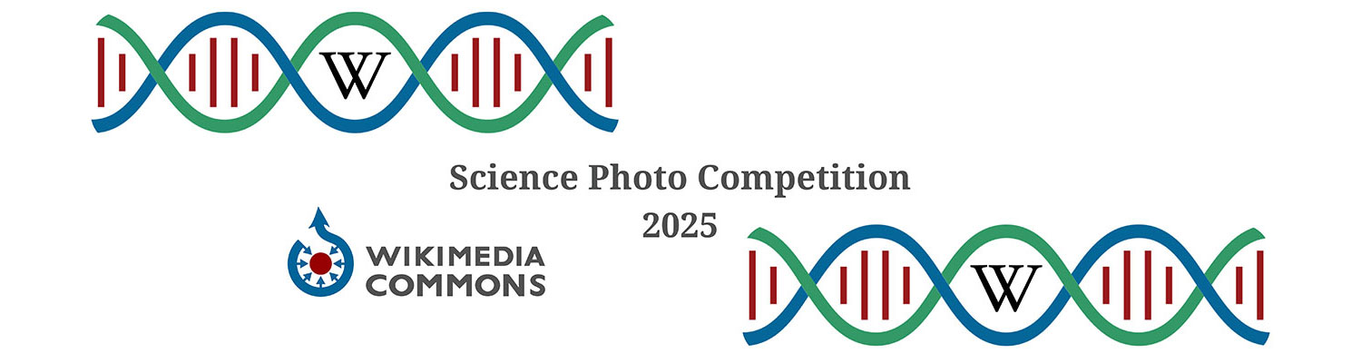 Science Photo Competition 2025